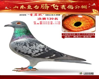 鱼台腾飞139名