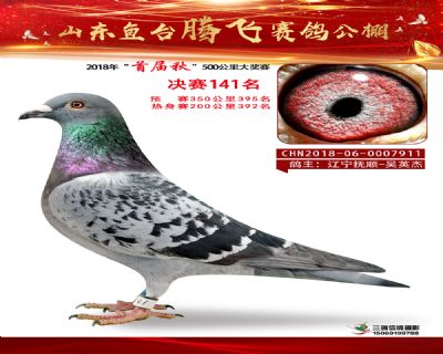 鱼台腾飞141名