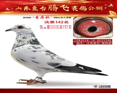 鱼台腾飞142名