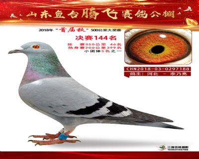 鱼台腾飞144名