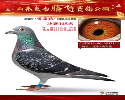 鱼台腾飞145名