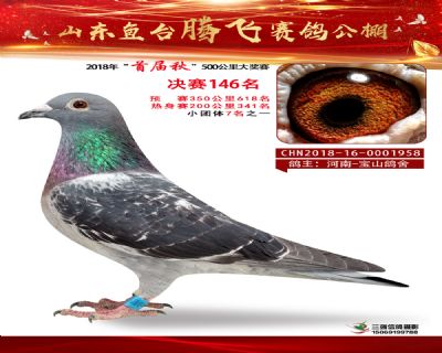 鱼台腾飞146名