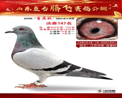鱼台腾飞147名