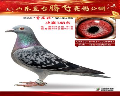 鱼台腾飞148名