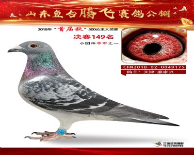 鱼台腾飞149名