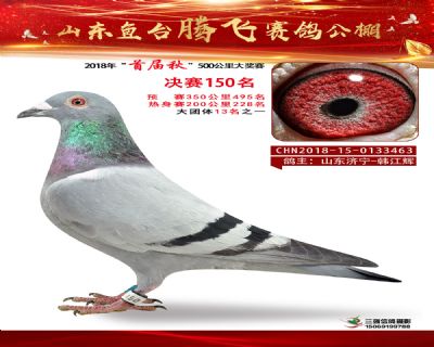 鱼台腾飞150名