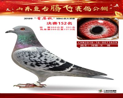 鱼台腾飞152名