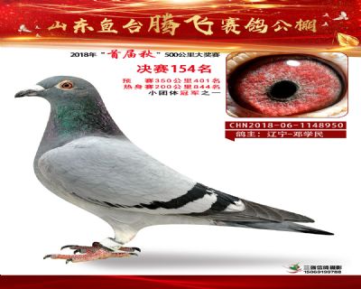 鱼台腾飞154名