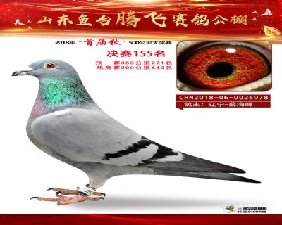 鱼台腾飞155名