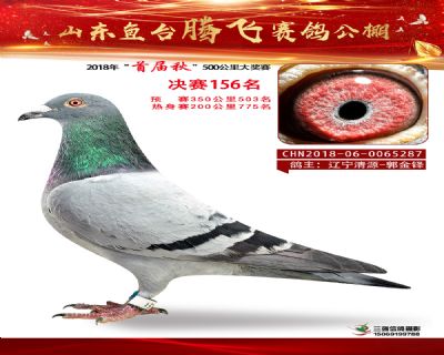 鱼台腾飞156名