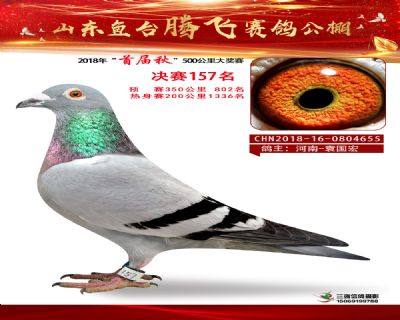 鱼台腾飞157名