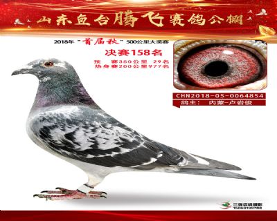 鱼台腾飞158名