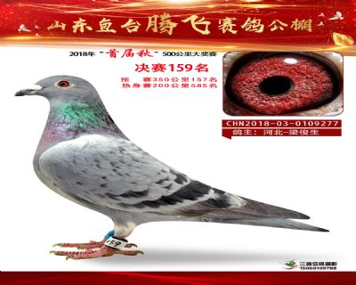 鱼台腾飞159名
