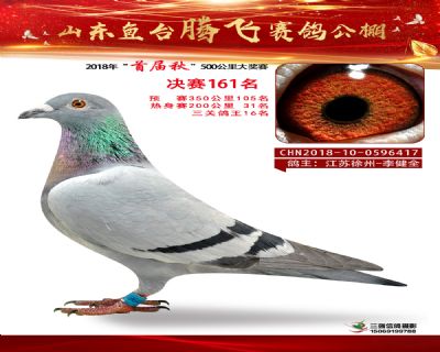 鱼台腾飞161名