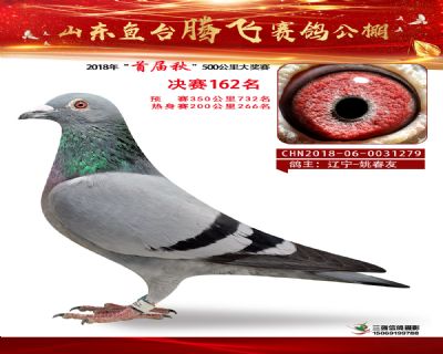 鱼台腾飞162名
