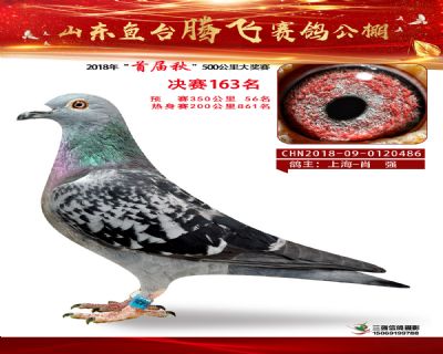 鱼台腾飞163名