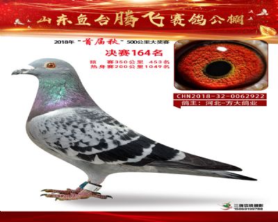 鱼台腾飞164名