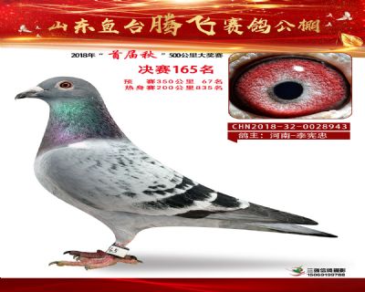 鱼台腾飞165名