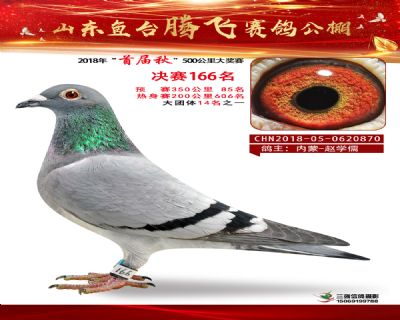 鱼台腾飞166名
