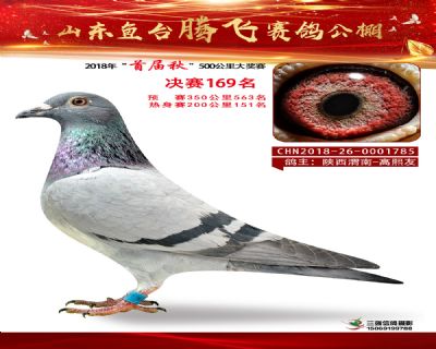 鱼台腾飞169名