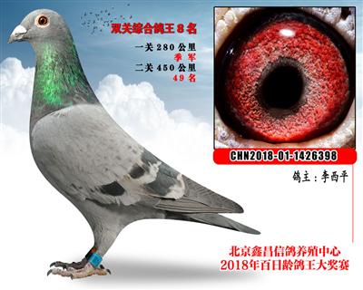 李西平8盖比X飞戈X胡本参考雄