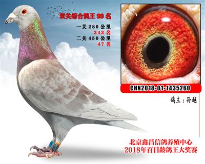 孙越99红狐X佛卡门X理琦100号家系参考雄