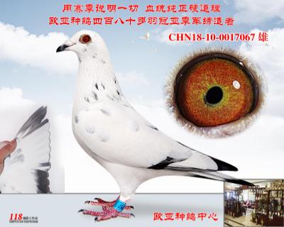 乔思白雪公主同父异母超级冠军X8名近亲