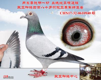 电脑戈马利涡轮号831X674秃头X370X507绝版020