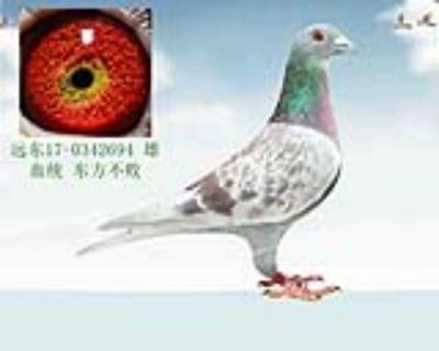 东方不败
