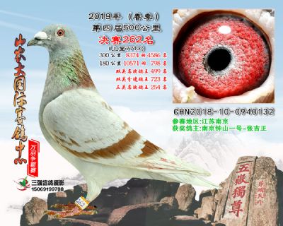山农大春棚决赛262名