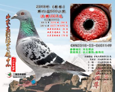 山农大春棚决赛263名
