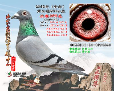 山农大春棚决赛265名