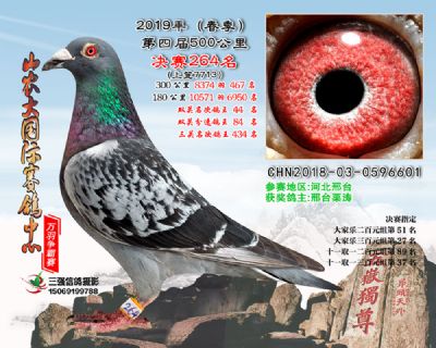 山农大春棚决赛264名
