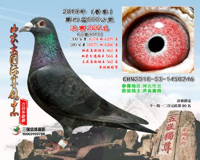 山农大春棚决赛266名