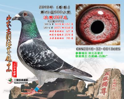 山农大春棚决赛267名