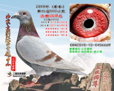 山农大春棚决赛268名