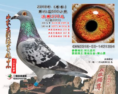 山农大春棚决赛270名