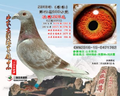 山农大春棚决赛269名
