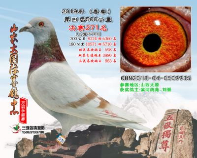 山农大春棚决赛271名