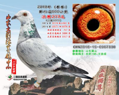 山农大春棚决赛273名