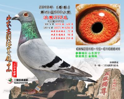 山农大春棚决赛272名