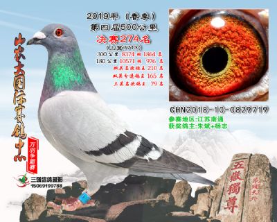 山农大春棚决赛274名