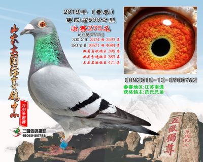 山农大春棚决赛275名