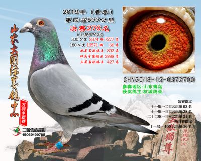 山农大春棚决赛276名