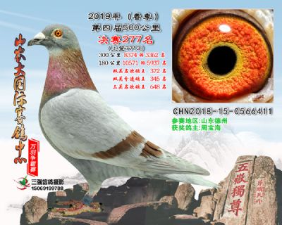 山农大春棚决赛277名