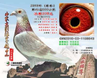 山农大春棚决赛278名