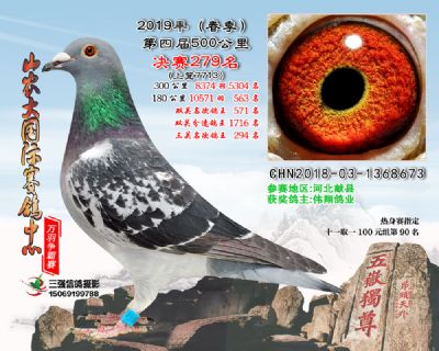 山农大春棚决赛279名