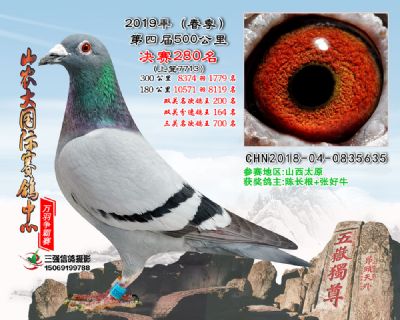 山农大春棚决赛280名