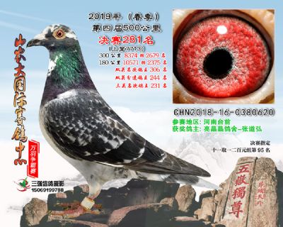 山农大春棚决赛281名