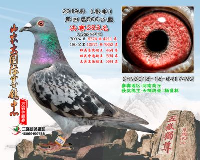 山农大春棚决赛283名